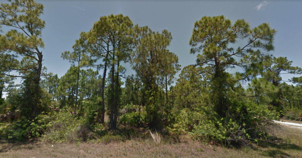 Perfect 1/4 acre Corner Lot in S. Florida for you!